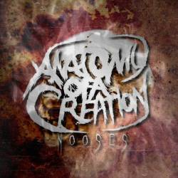 Anatomy Of A Creation : Nooses